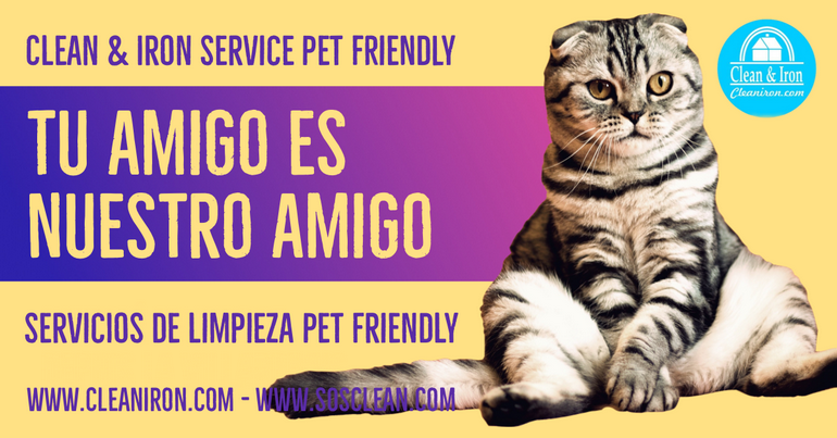 Empresa Pet Friendly